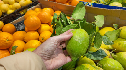 A hand inspects a fresh lemon in a vibrant market setting, highlighting choices for a healthy...