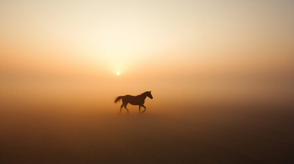 Fototapeta premium A horse is walking in a field with a sun in the background