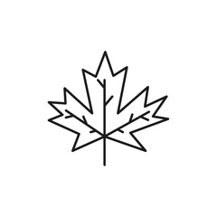 Obraz premium Maple leaf icon Simple thin line flat symbol