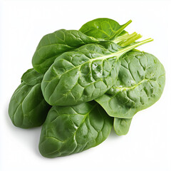 Obraz premium fresh spinach isolated on white background