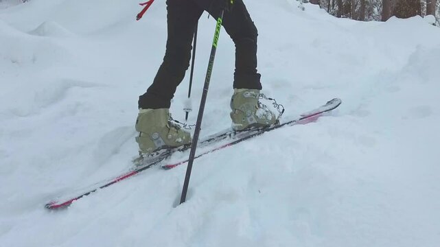 A child's skis uphill with sealskin