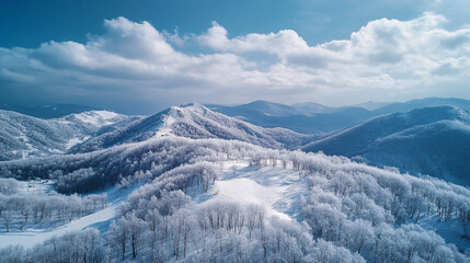 Obraz premium aerial winter landscape with snowy trees and blue sky in mountain range