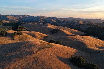aerial view of golden rolling hills at sunset with lush green trees in the california countryside