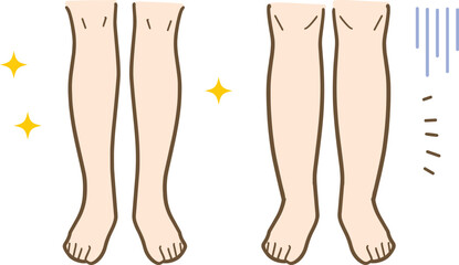 女性のスリム＆太めの脚のイラスト