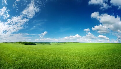 Obraz premium Green grass, clear sky