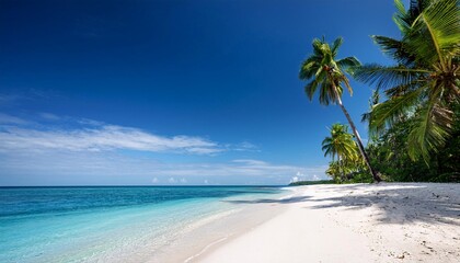 Fototapeta premium beach with coconut trees