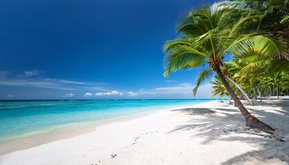 Fototapeta premium beach with coconut trees