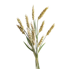 Fototapeta premium Reed Grass, Generative AI 