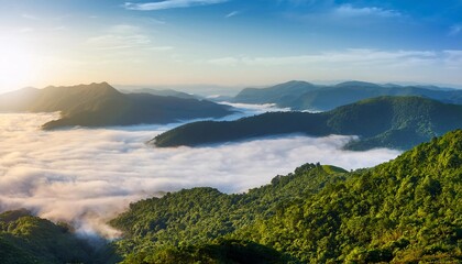 Fototapeta premium Sea of ​​fog on top of a high mountain