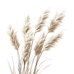 Reed Grass, Generative AI	