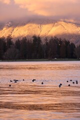 Port de Vancouver au coucher de soleil - Voyage