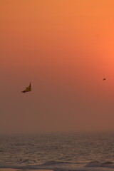 Vol d'oiseaux devant un coucher de soleil sur la mer de Cabourg
