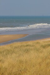 Plage et sa dune
