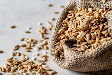 An open jute sack showing  unprocessed rice.