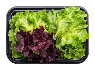 Striking visual design, repetitive "lete" pattern creates abstract art repetitive