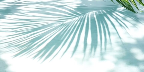 Obraz premium water surface with tropical leaf shadow. 