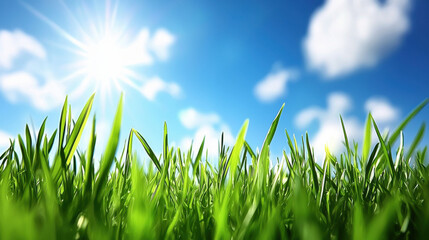 Fototapeta premium Vibrant green grass under bright blue sky with fluffy clouds
