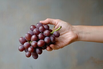 Hand holding a bunch of fresh purple grapes with textured background in natural light