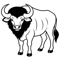 black and white buffalo 