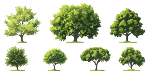 Fototapeta premium set of tree on a white background