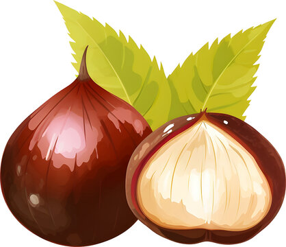 brown chestnuts with green leaves clip art preview