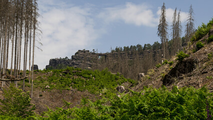 Fototapety na wymiar - Fototapeta24.pl