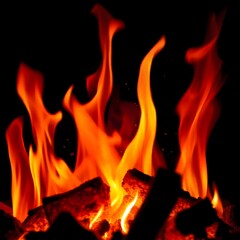 Fototapeta premium fire in the fireplace