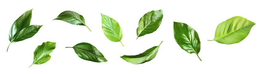 Obraz premium Hop colorful illustration set