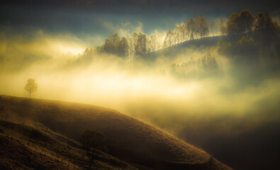 amazing foggy autumn landscape in the mountains