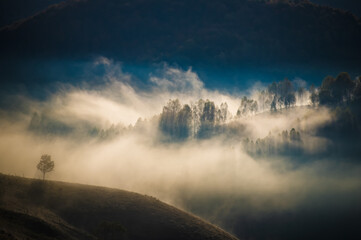 amazing foggy autumn landscape in the mountains