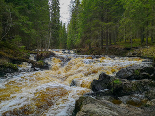fast mountain river in the forest in Karelia, Russia