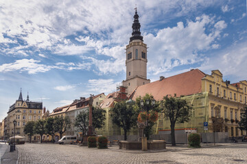Fototapeta premium Historic Charm of Swidnica, Town Hall, Poland