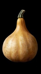 A fresh, smooth golden squash with a curved shape, perfect for autumn decoration or culinary recipes.