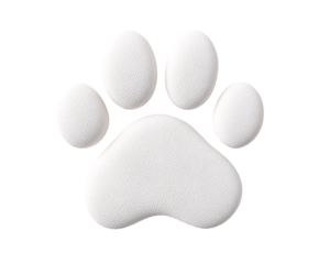 a white paw print with a white background
