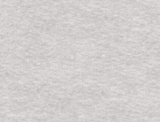 Fototapeta premium 100% Organic Cotton Fleece (Inside Brush) 345 gsm (back Part)