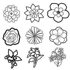 set of flowers