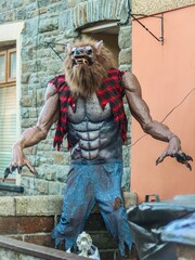 Spooky Werewolf man during Halloween decorations featuring pumpkins and cobwebs