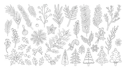 Set of Isolated Christmas Plants and Tree Decorations in Hand-Drawn Doodle Style on transparent background. Volume 2: Trees, Pine Branches, and Holly in black outline and white plain style.
