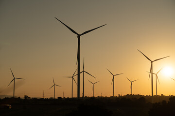 Fototapeta premium Windmills for electric power production, summer field, renewable energy sunset.