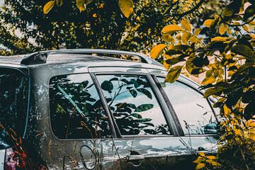 auto © event