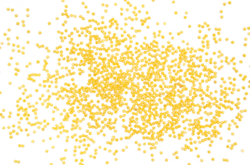 Peeled yellow millet seeds, organic food product isolated on white