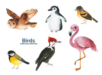 Watercolor collection with birds.Perfect for your own project, education, school, invitation, wallpapers, stickers and more	
