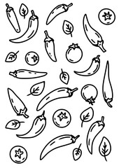 Vertical banner of tomatoes, chili peppers and basil. Drawn in line art style