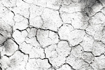 Obraz premium Texture soil dry crack background pattern of drought lack of water of nature white black old broken.