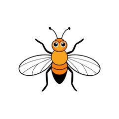 hoverfly vector illustration