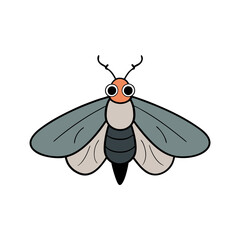 moth vector illustration