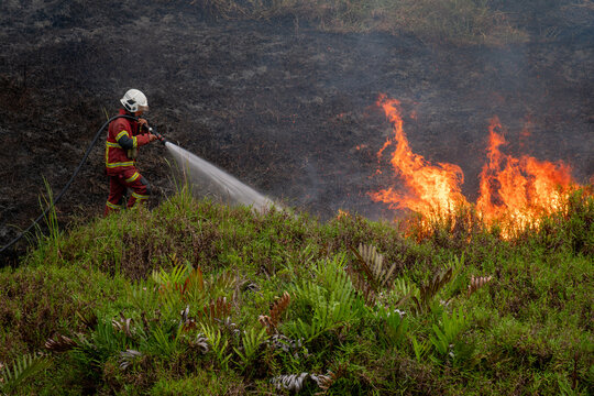 Firefighter putting out a fire in a rural landscape, Malaysia
