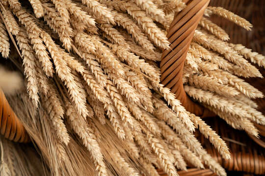 Close-up of dried wheat in a wicker basket