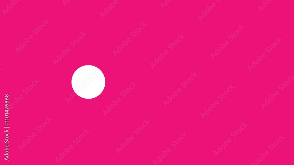 Poster abstract circular animation with pink and white dynamic motion elements