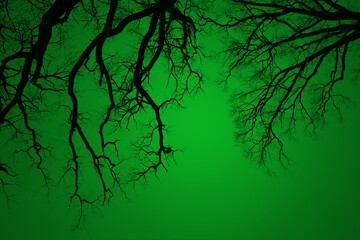 Leafless Oak tree branches silhouette. Black and green. Natural oak tree branches on a green background. Silhouettes of a dark forest with textured trees. Spring background. 